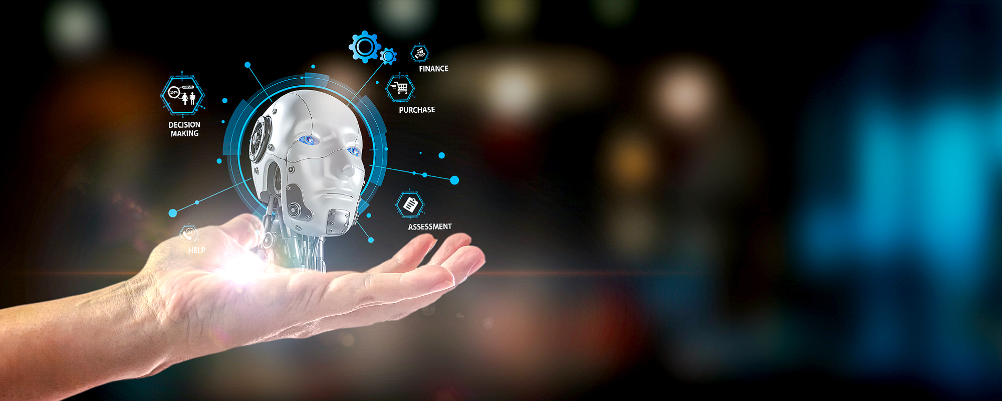 Why Human Behaviour - Beyond the Chaos